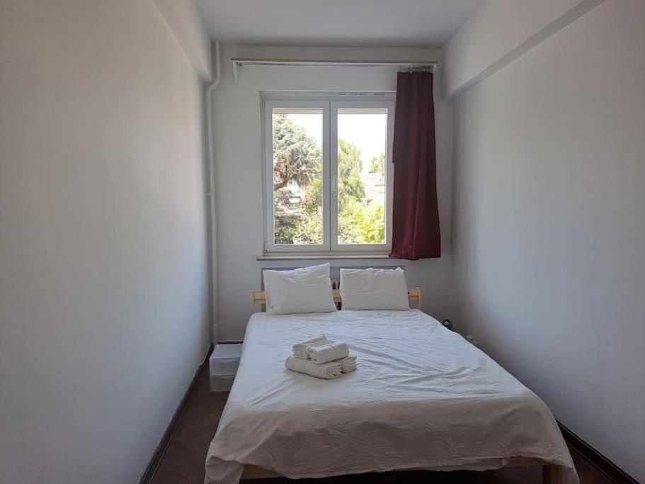 Spacious Apartment Next To Parc Du Cinquantenaire Brüsszel Kültér fotó